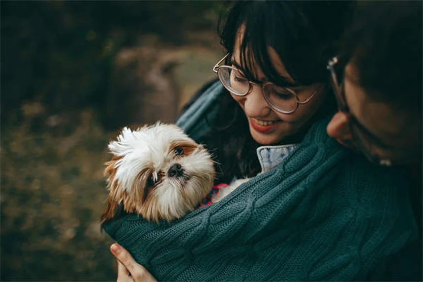 쥐 간질 증상과 관리법: 초보자도 쉽게 이해하는 완벽 가이드